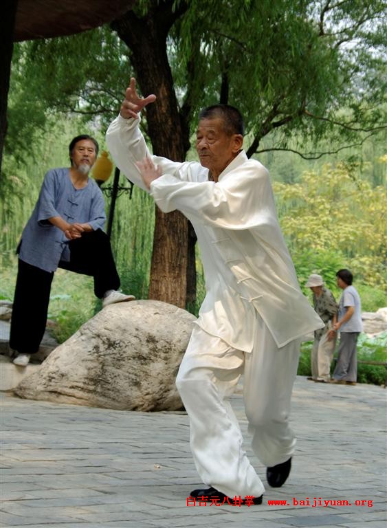 八卦掌基本知识概览 (八卦掌基本知识介绍)