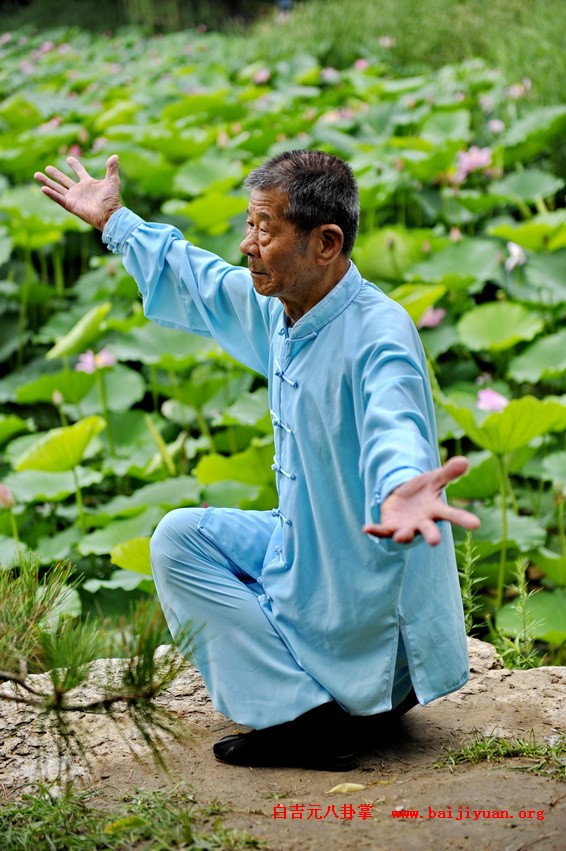 八卦掌古拳谱将在北京重现江湖!-图片1